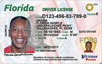 Introducing the New Florida Driver’s License Design – eTags – Vehicle ...