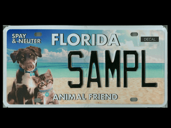 Florida Tag Renewal: Get FL Specialty Plate And Personalize It Online