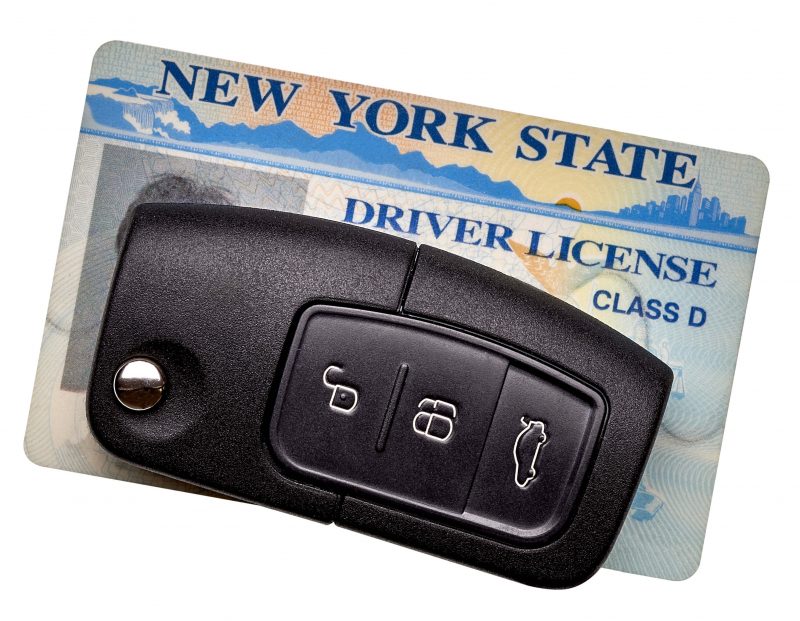 NY Driver's License