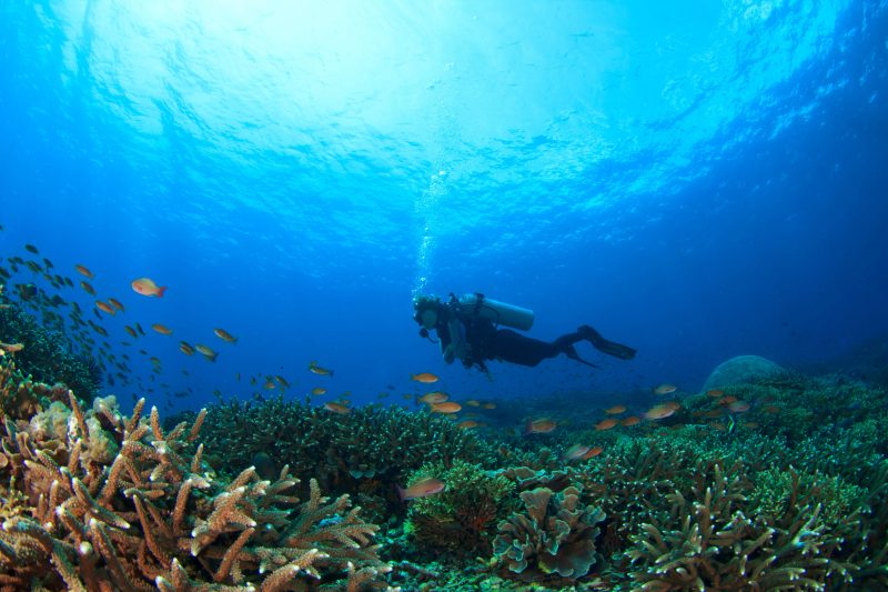 Exploring the sea