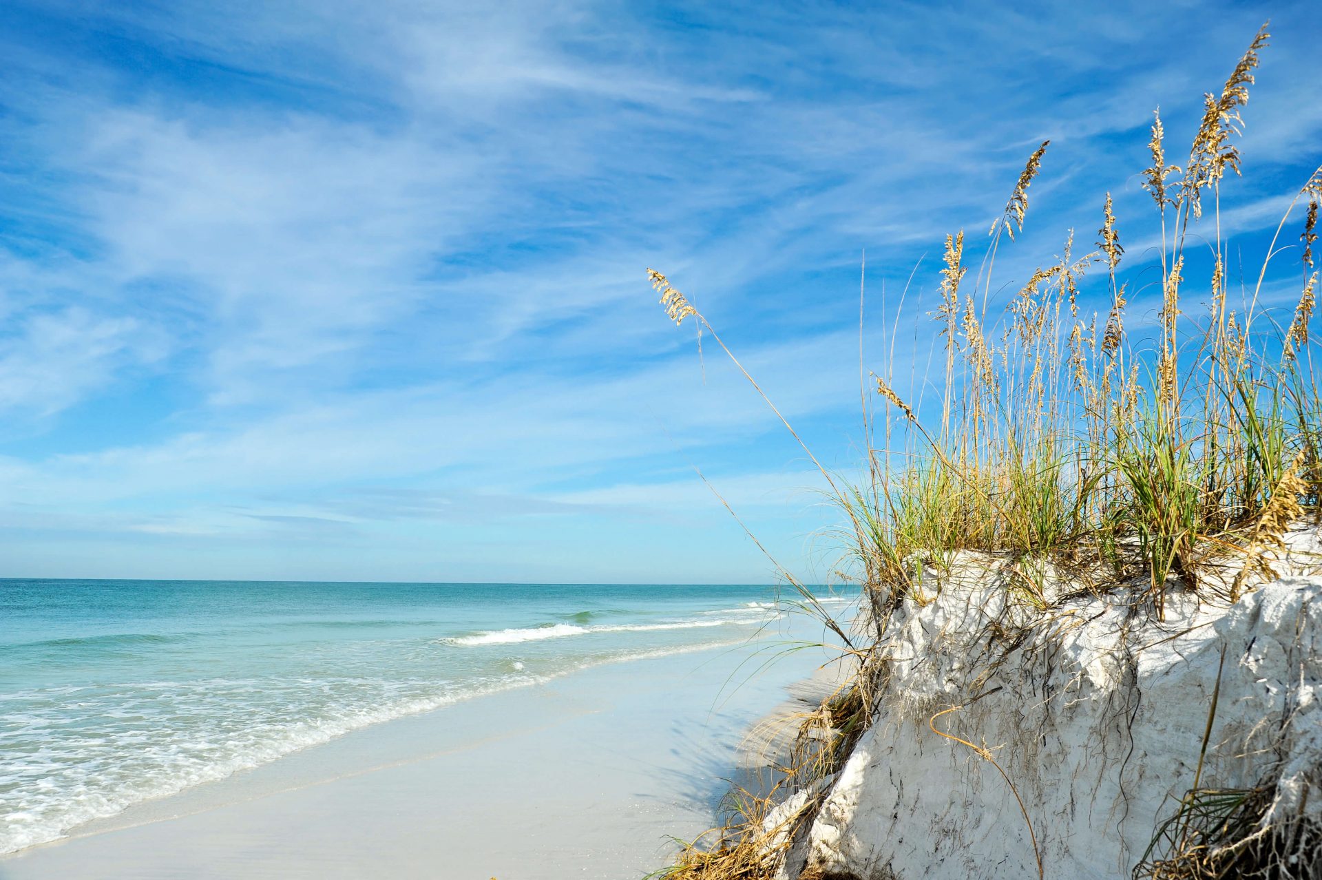 Florida's coastline