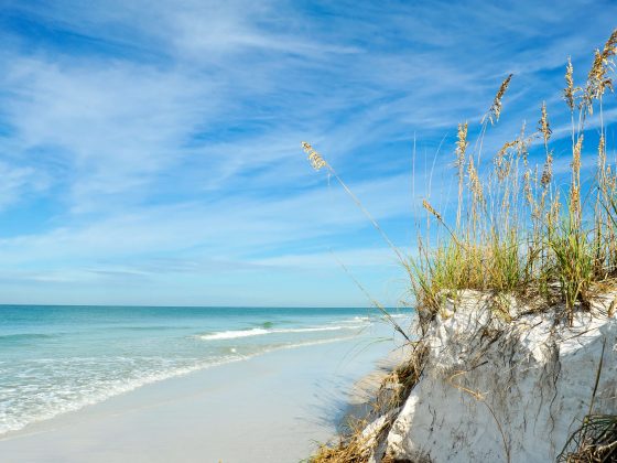 Florida's coastline