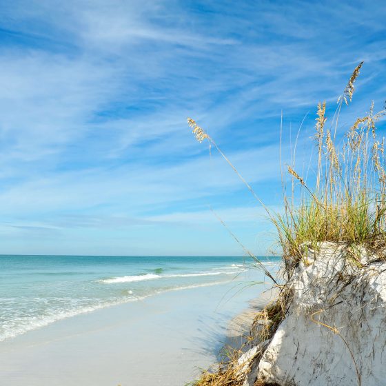 Florida's coastline